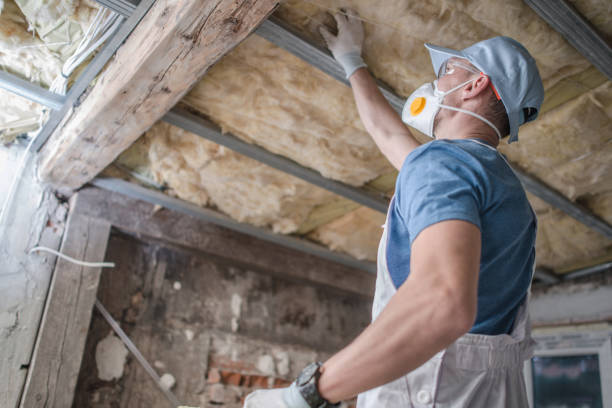 Types of Insulation We Offer in Green, OR